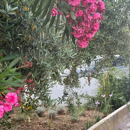 La Foresteria- Azienda Agricola Garra Kır Evi Mutignano