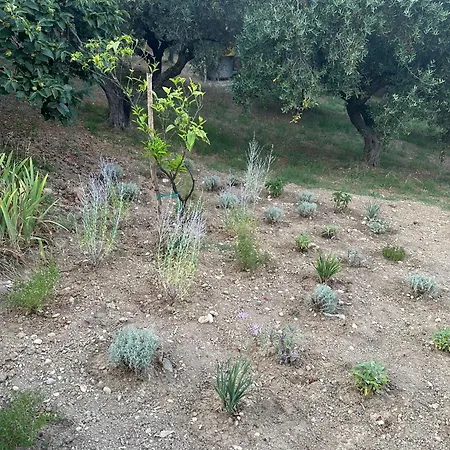 Landsted La Foresteria- Azienda Agricola Garra Mutignano