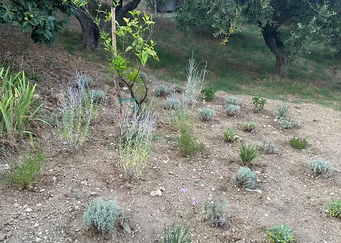 Venkovský dům La Foresteria- Azienda Agricola Garra Mutignano